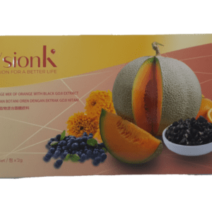 VsionK