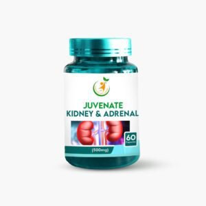 Kidney-and-Adrenal