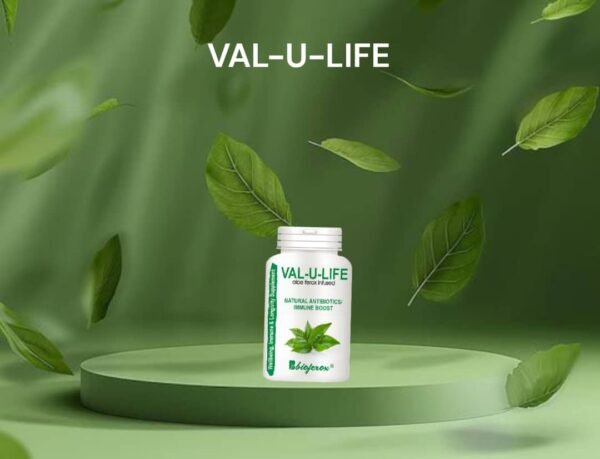 VAL-U-LIFE