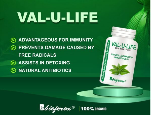VAL-U-LIFE - Image 2