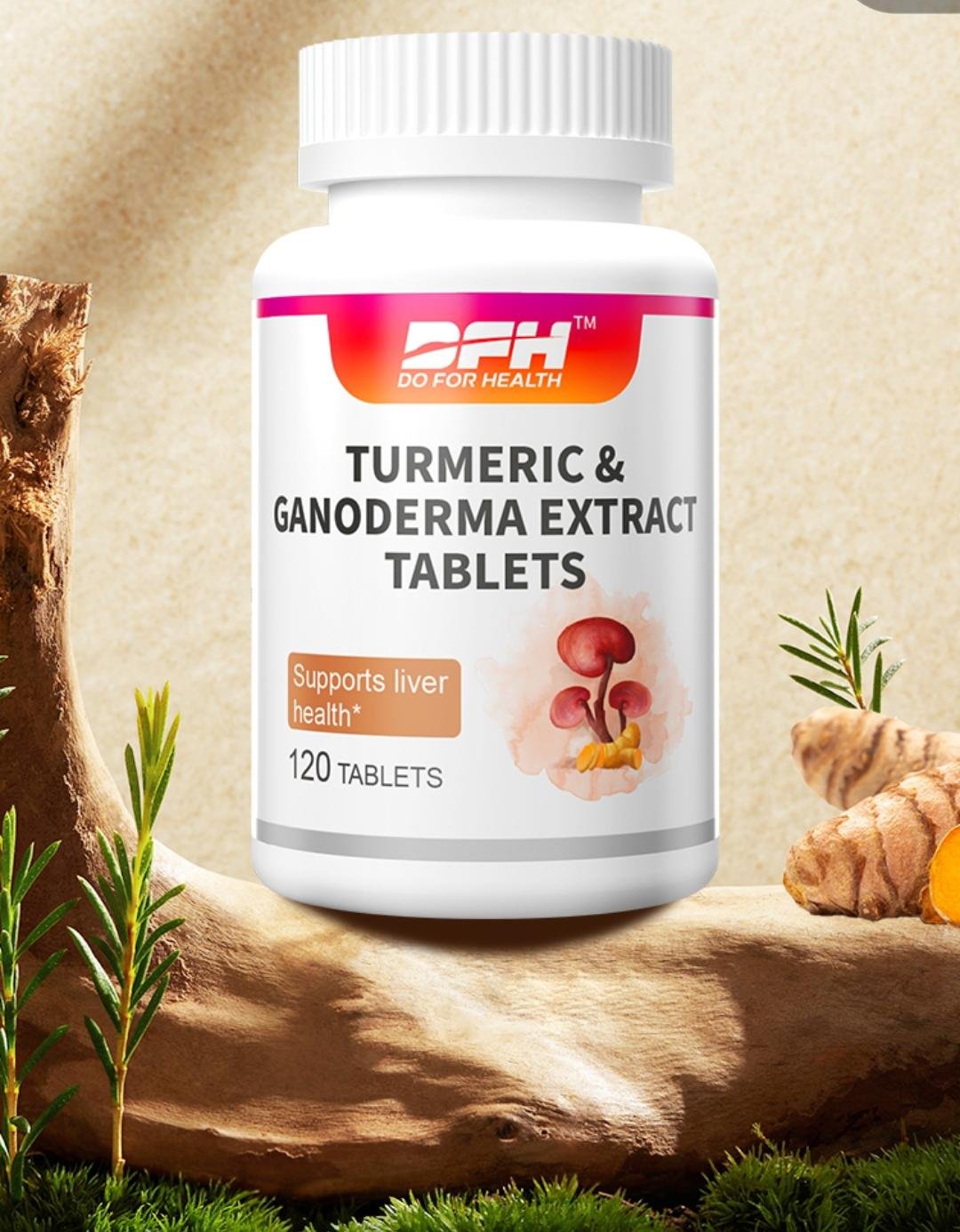 DFH Turmeric & Ganoderma Extract - Image 2